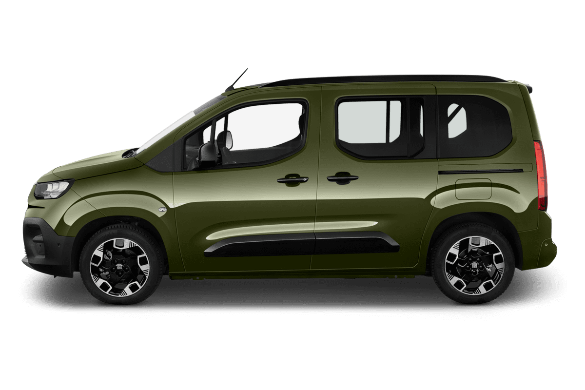 Seitenansicht eines Fiat Doblo Cargo Kombi