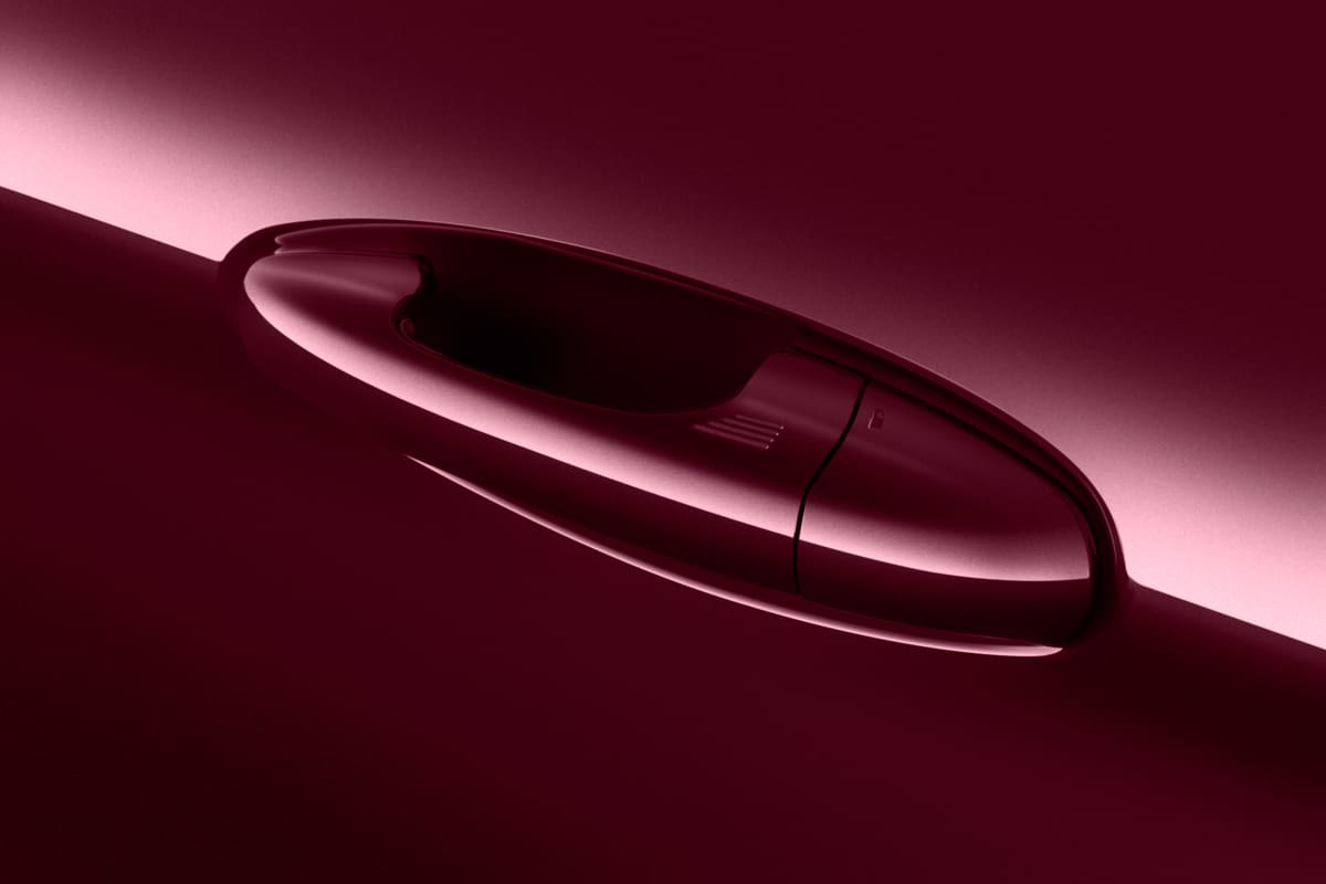 Türgriff eines Ford Fiesta