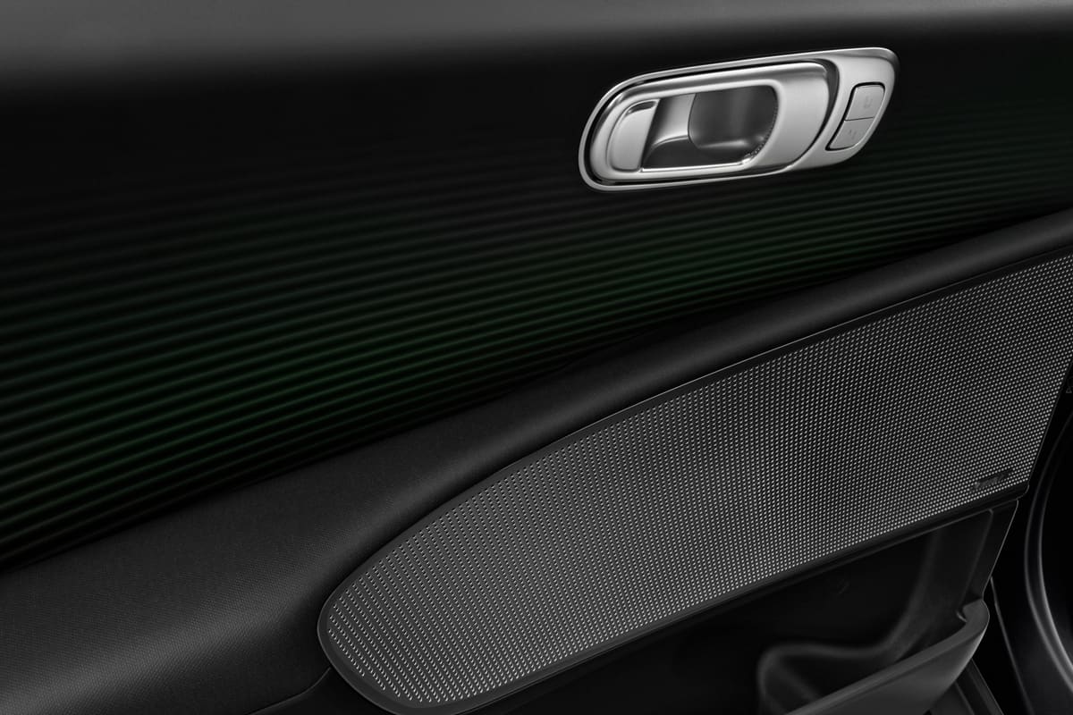 Türsteuerung eines Hyundai Ioniq 6