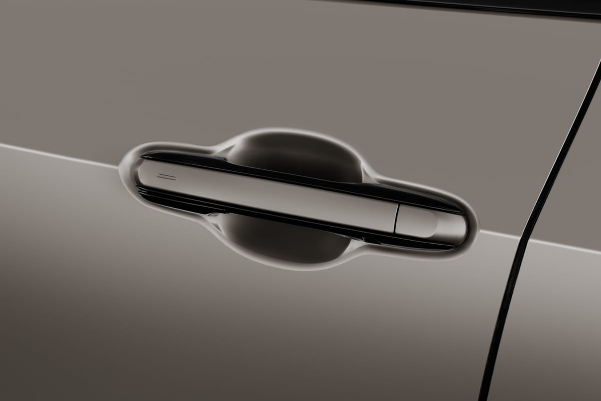 Türgriff eines Lexus NX Plug-In-Hybrid