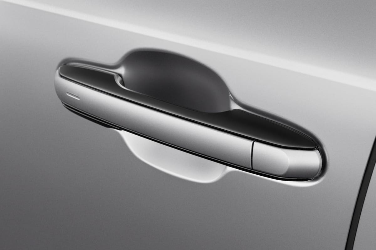 Türgriff eines Lexus RX Plug-in-Hybrid