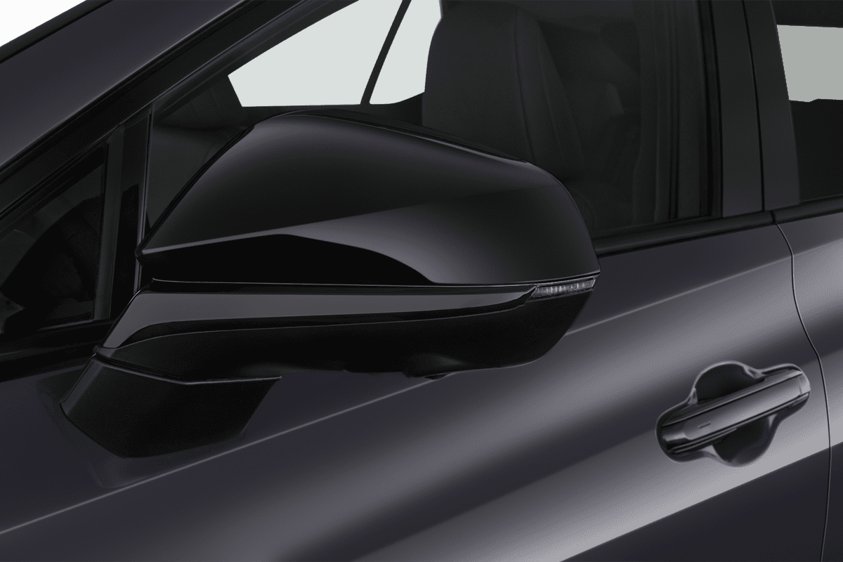 Rückspiegel eines Lexus RZ