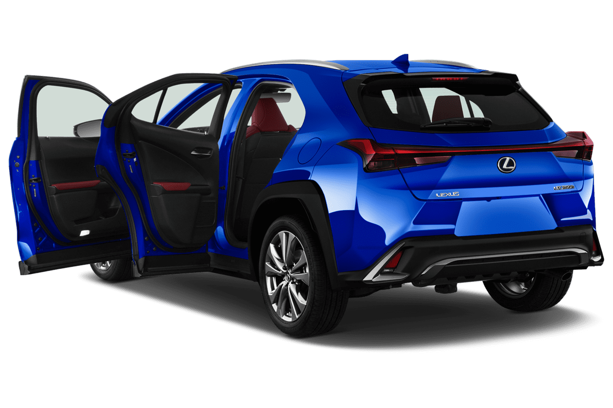 Türen eines Lexus UX Elektro