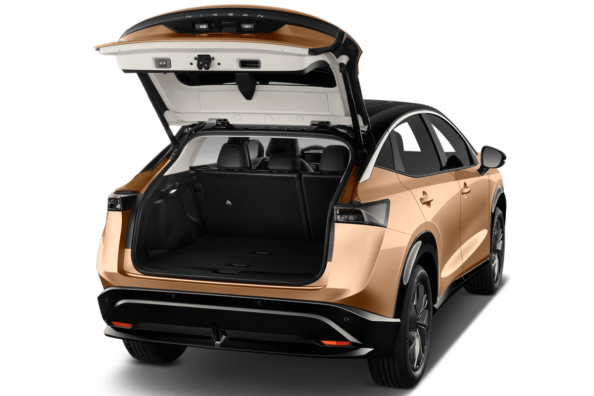 Nissan Ariya undefined
