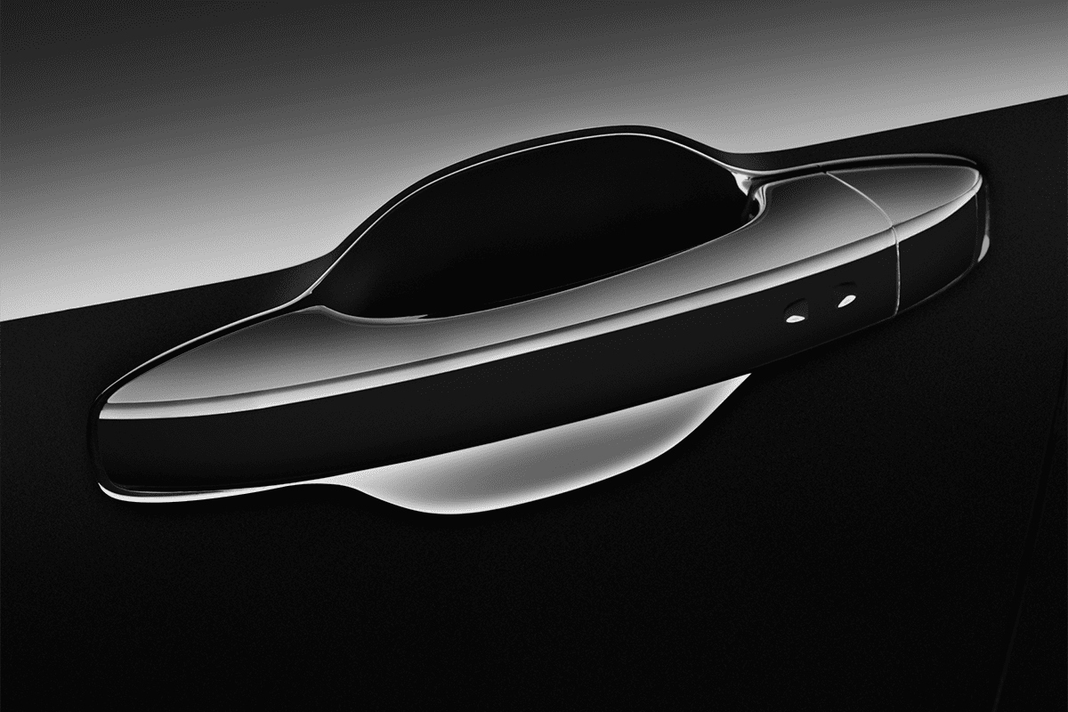 Türgriff eines Renault Grand Scenic Black Edition 