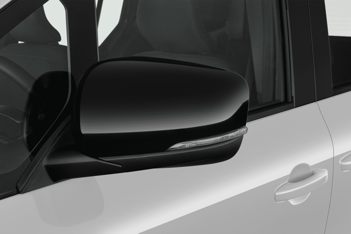 RĂĽckspiegel eines Renault Kangoo