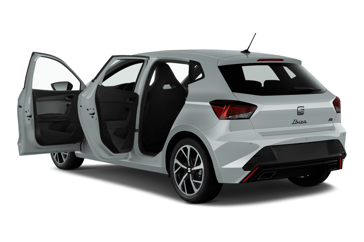 Türen eines Seat Ibiza