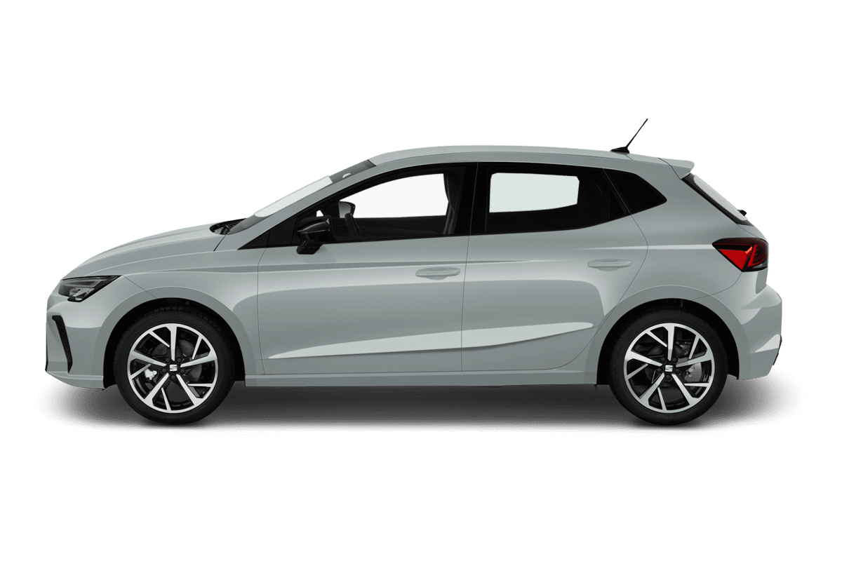Seitenansicht eines Seat Ibiza