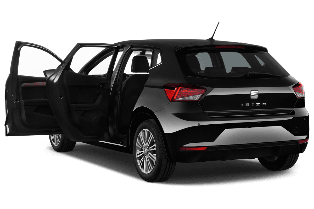 Türen eines Seat Ibiza Black Edition