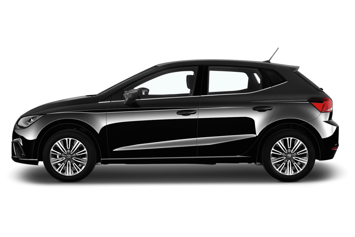 Seitenansicht eines Seat Ibiza Black Edition