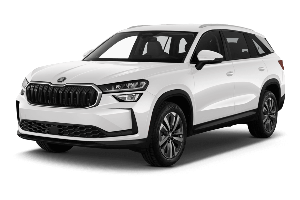Fahrzeugbild Skoda Kodiaq