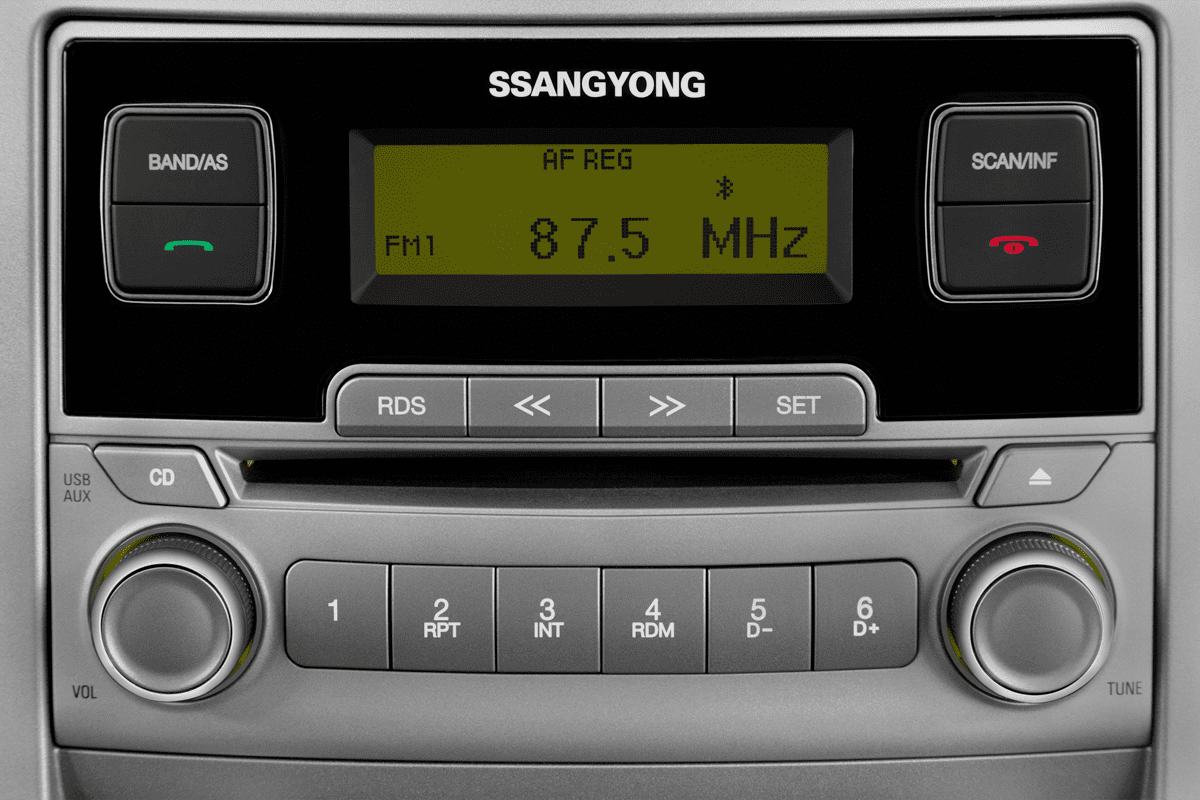 Audiosystem eines Ssangyong Rodius