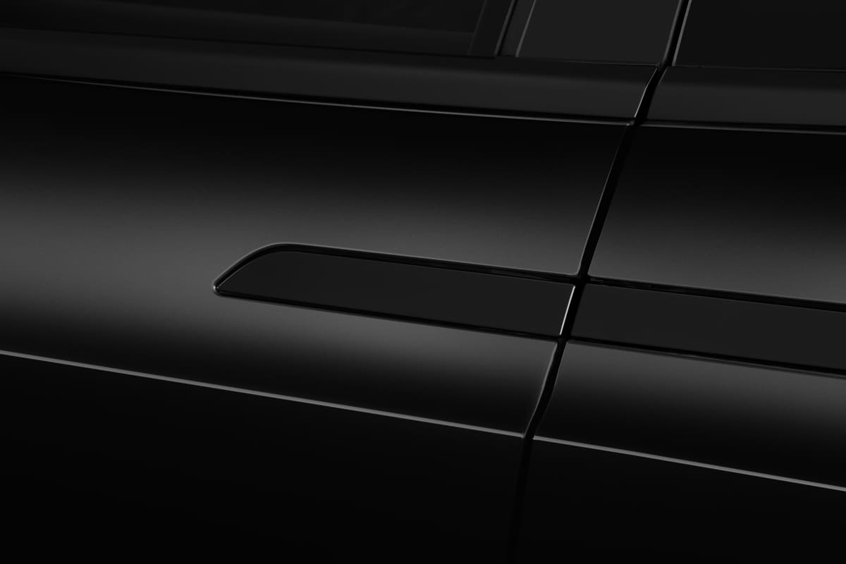 Türgriff eines Tesla Model X