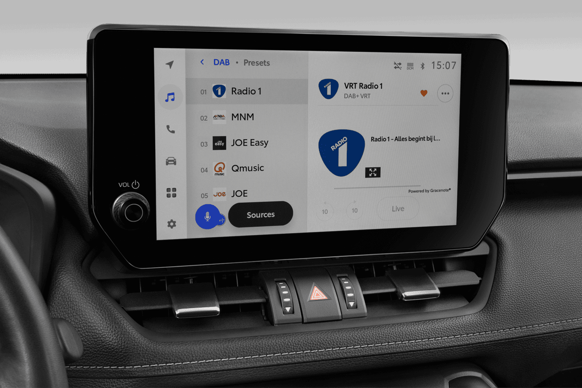 Audiosystem eines Toyota RAV4 Hybrid