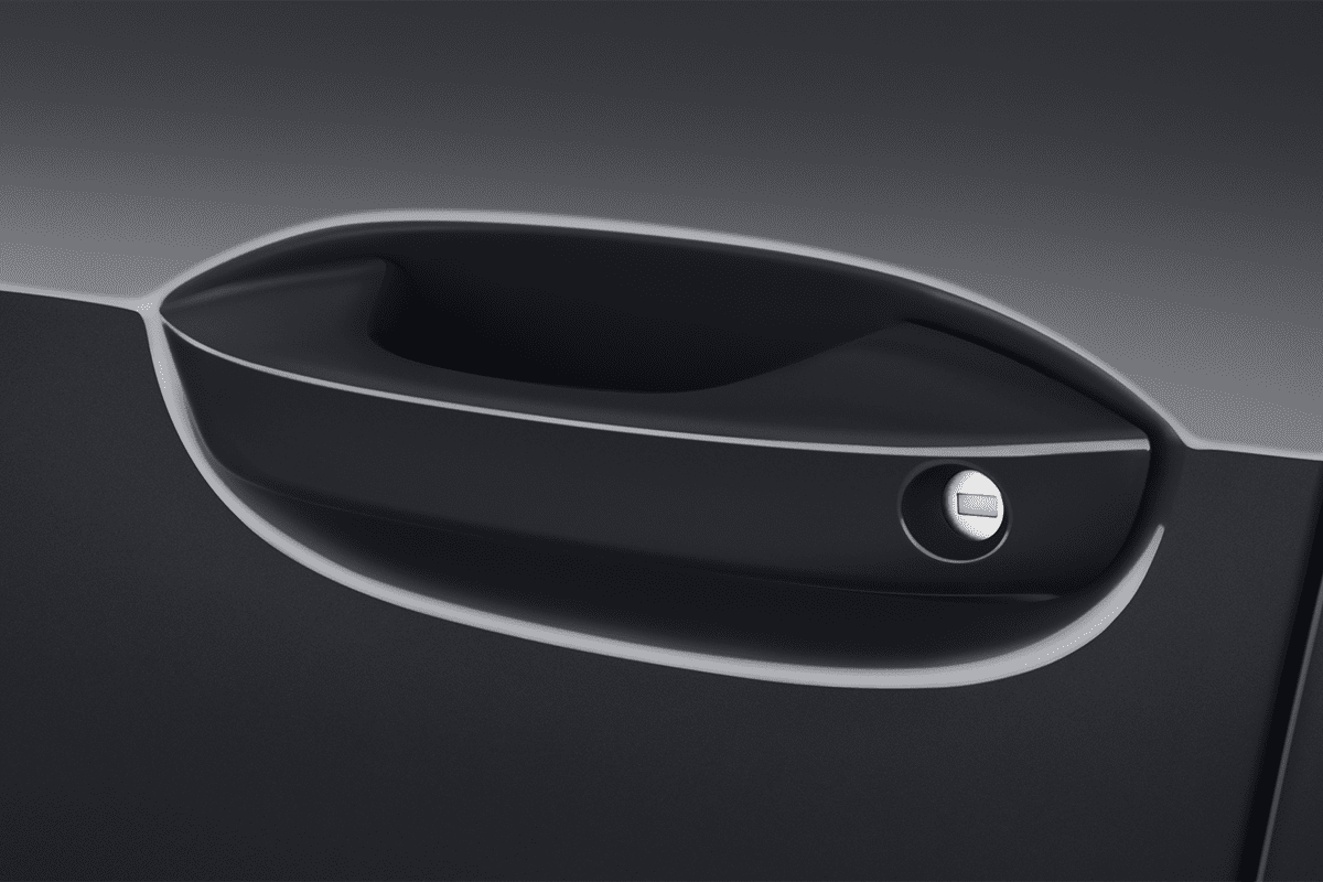 Türgriff eines VW Golf 8 Variant GOAL