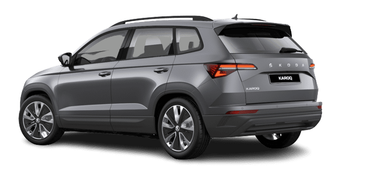 Fahrzeugbild eines Skoda Karoq