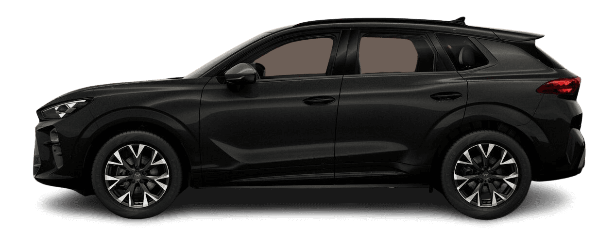 Seitenansicht eines CUPRA Terramar