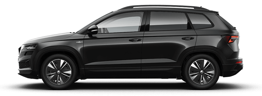 Seitenansicht eines Skoda Karoq