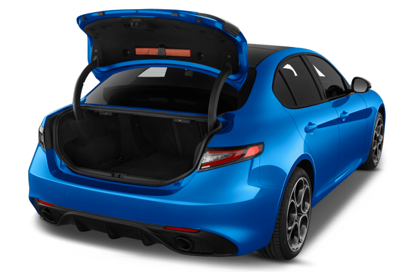 trunk_nb