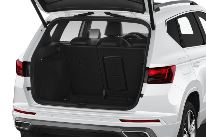 trunk_nb