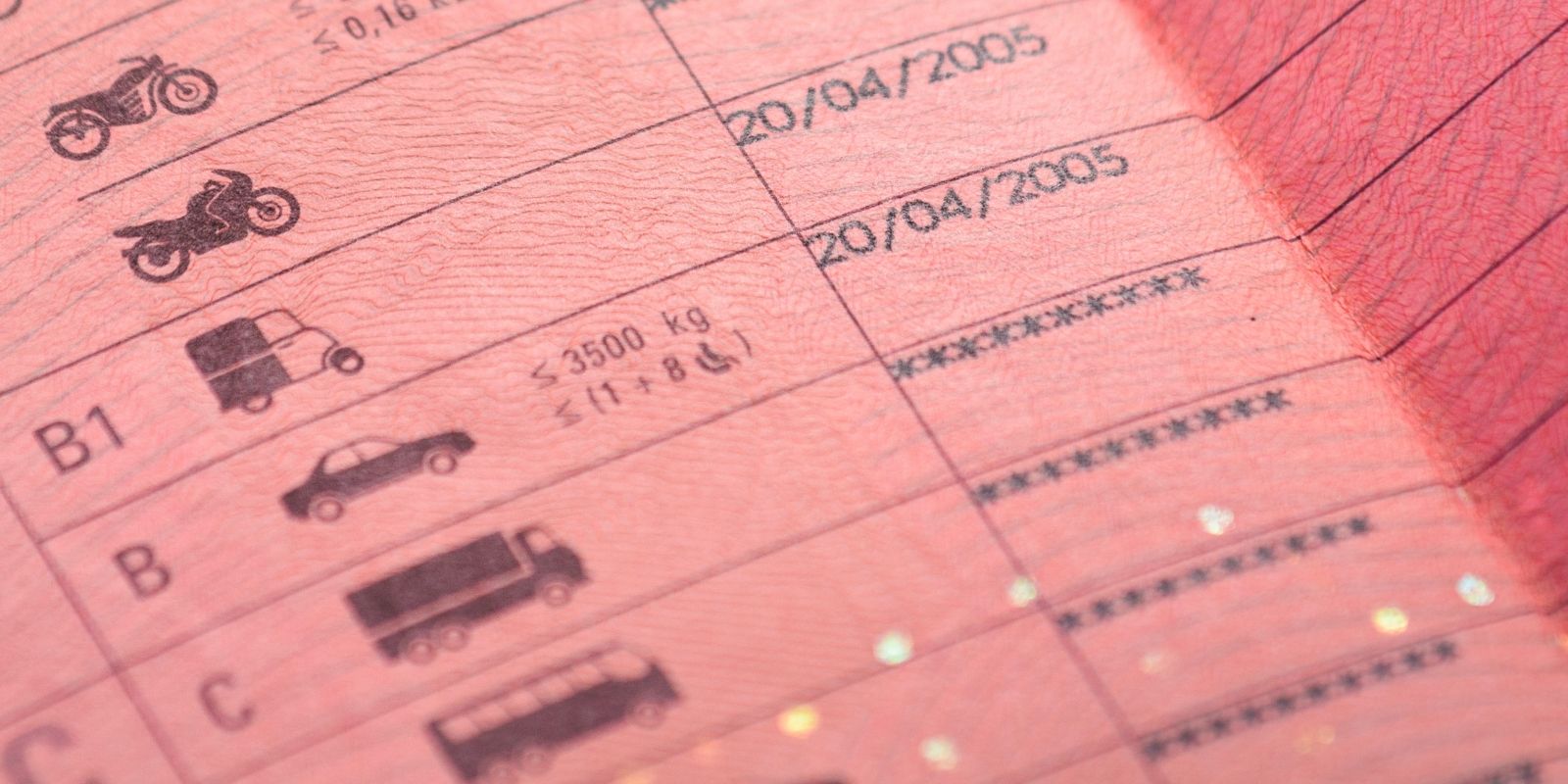 News |  Führerschein: Bereits mehr als 8 Millionen "alte Lappen" umgetauscht