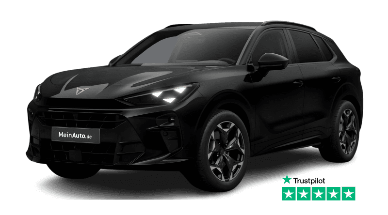 Terramar VZ 2.0 TSI DSG 4Drive, 265 PS, Automatik, Benzin 2.0 TSI 195kW VZ DSG 4Drive